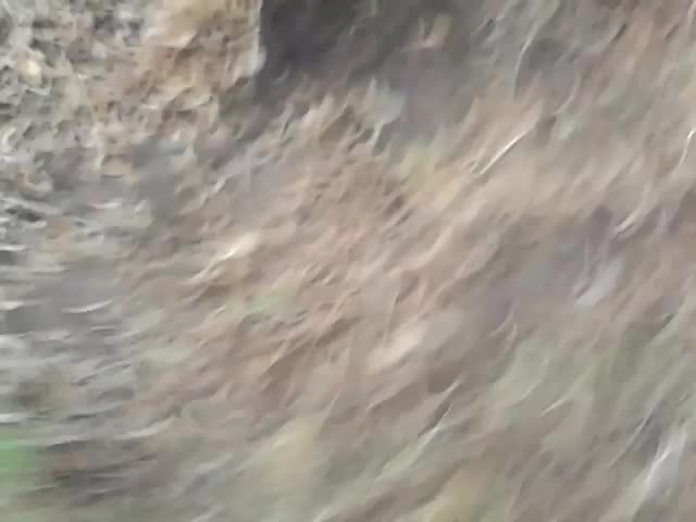 Must Watch Video