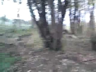 Must Watch Video