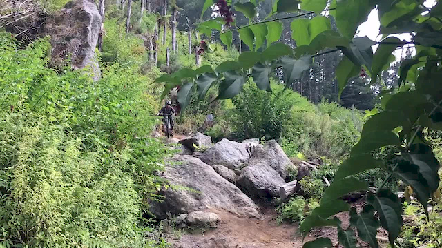 Must Watch Video