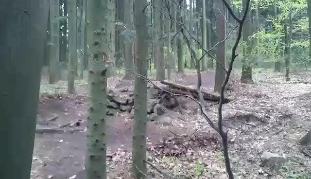 Must Watch Video