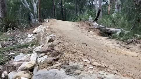 Must Watch Video