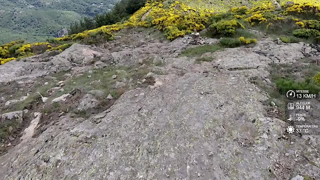 Must Watch Video
