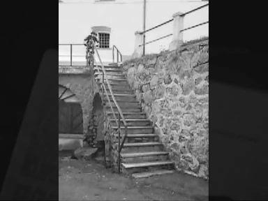 Must Watch Video