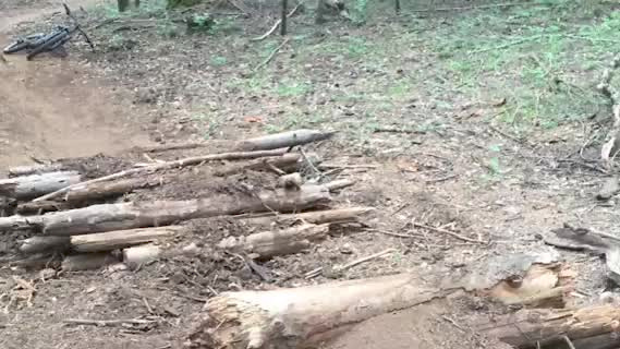 Must Watch Video