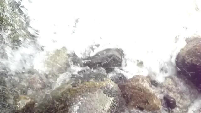 Must Watch Video