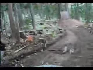 Must Watch Video
