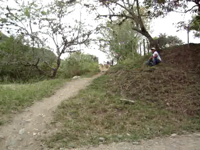 Must Watch Video