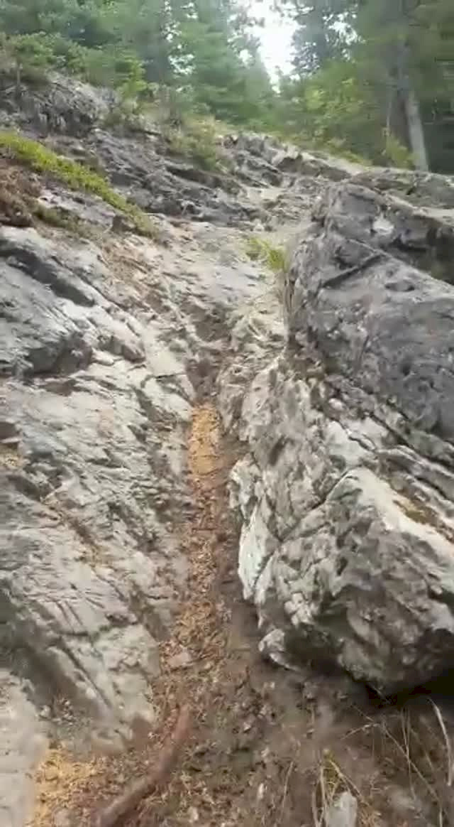 Must Watch Video