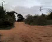 Must Watch Video