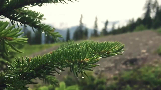 Must Watch Video