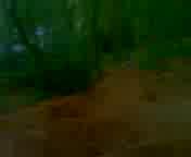 Must Watch Video