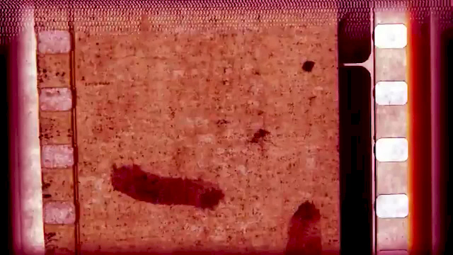 Must Watch Video