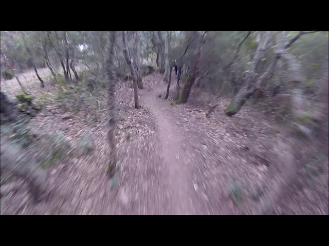 Must Watch Video