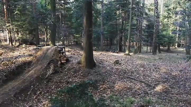 Must Watch Video