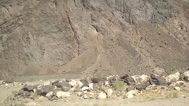Must Watch Video
