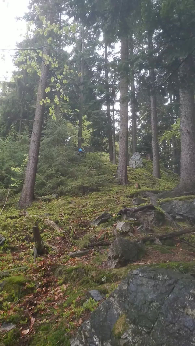 Must Watch Video