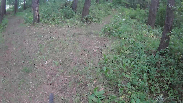 Must Watch Video