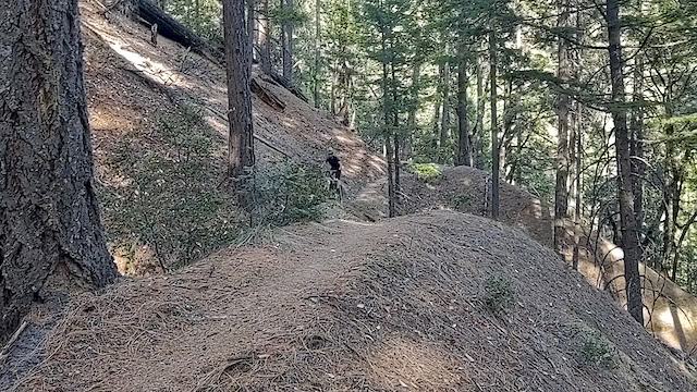 Must Watch Video