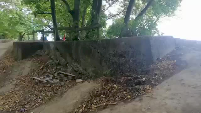 Must Watch Video
