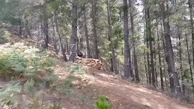 Must Watch Video