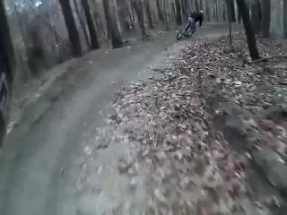 Must Watch Video
