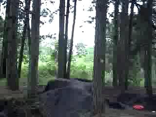 Must Watch Video