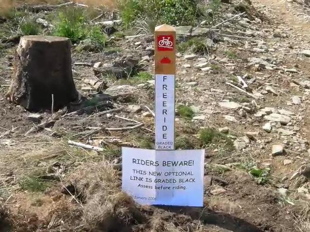 Must Watch Video