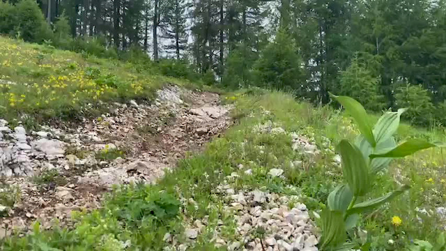 Must Watch Video