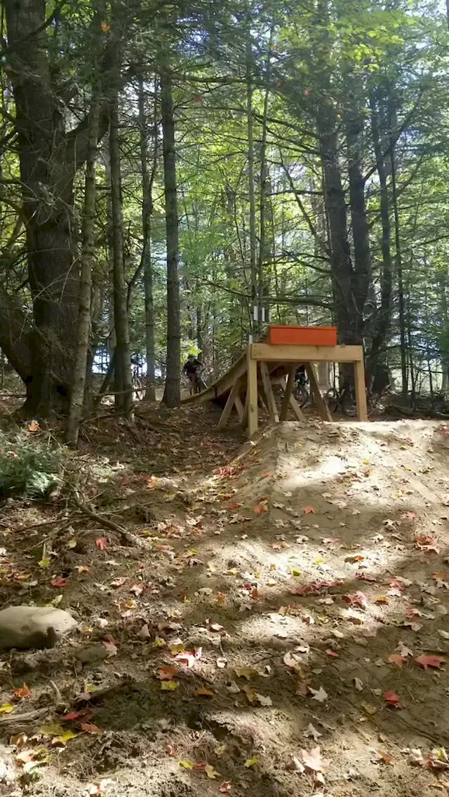 pinkbike drop