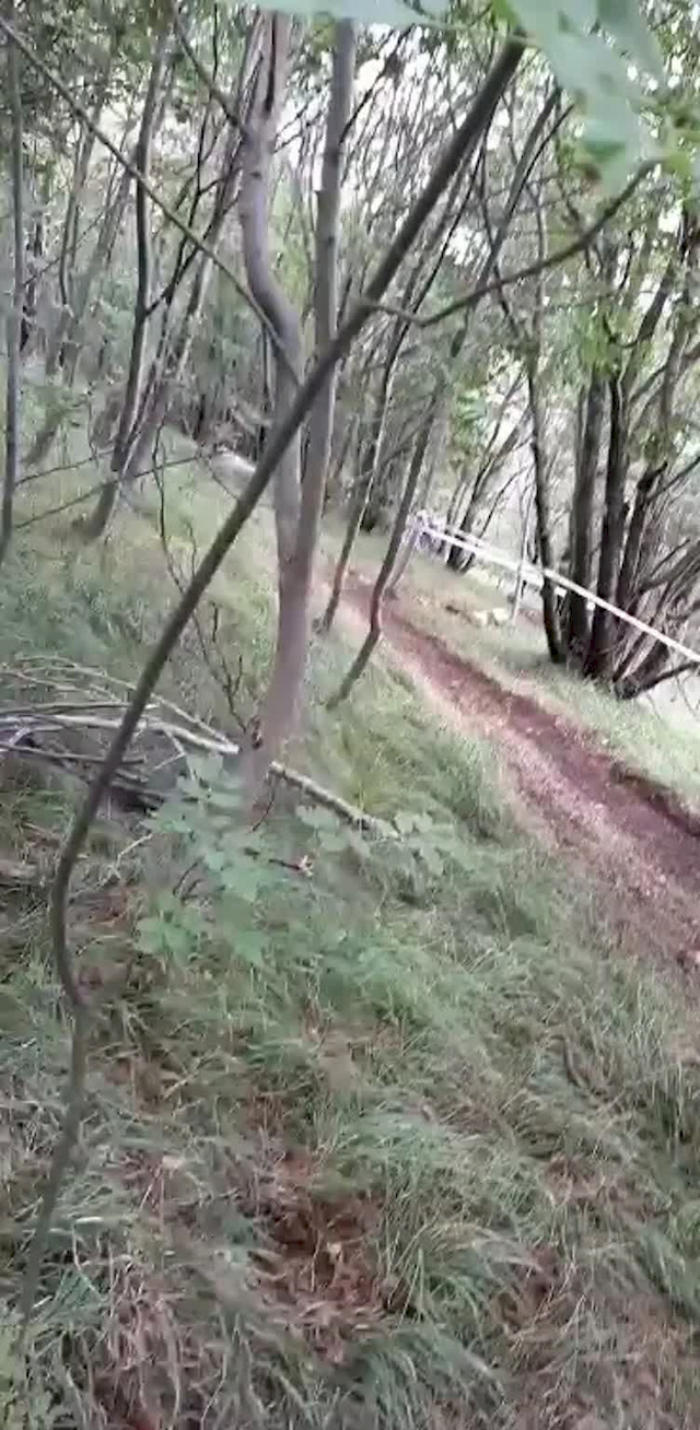 Must Watch Video