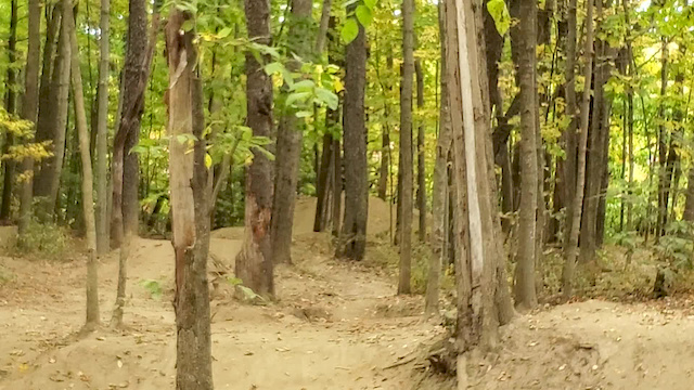 Must Watch Video