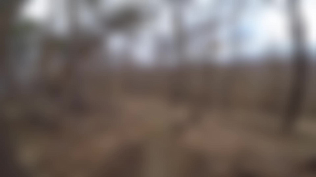 Must Watch Video