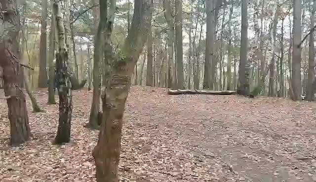 Must Watch Video