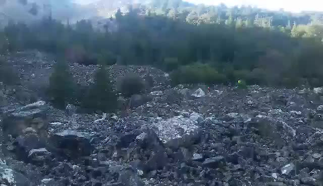 Must Watch Video