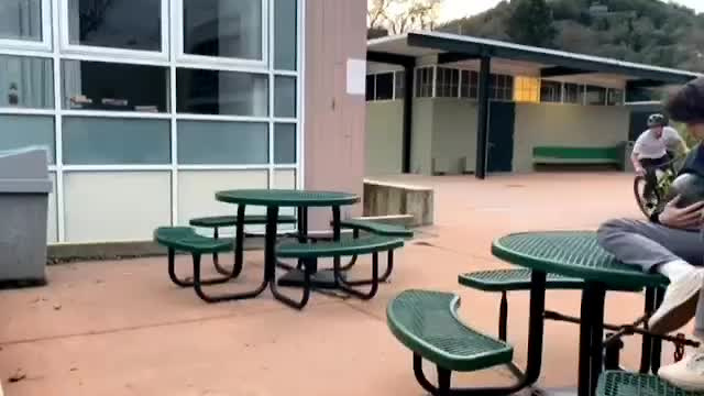 Must Watch Video