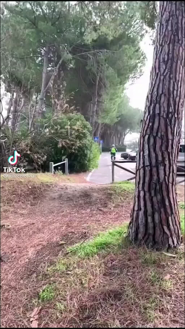 Must Watch Video