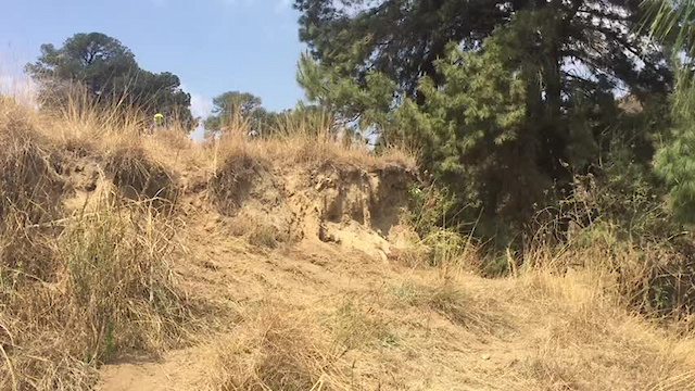 Must Watch Video
