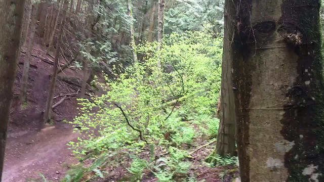 Must Watch Video