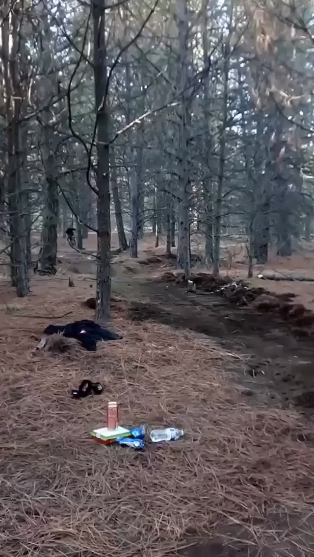 Must Watch Video