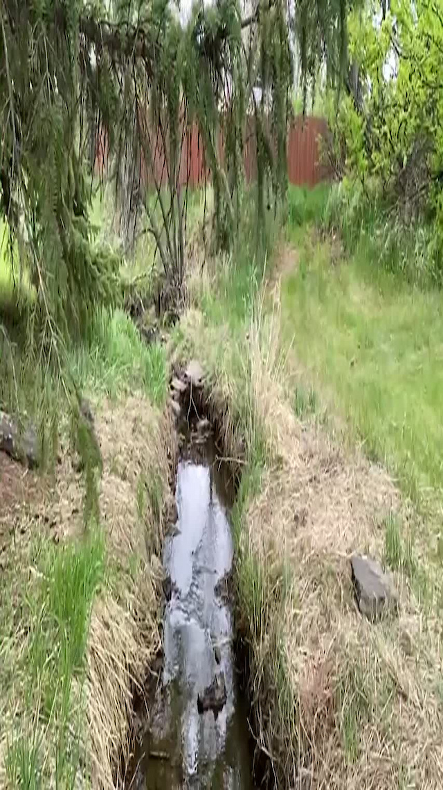 Must Watch Video