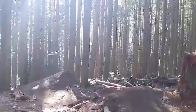 Must Watch Video