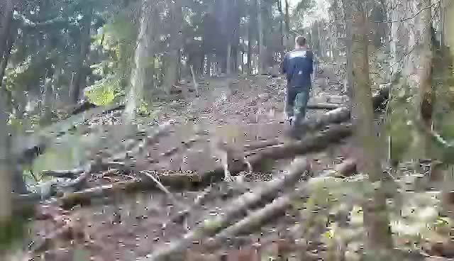 Must Watch Video