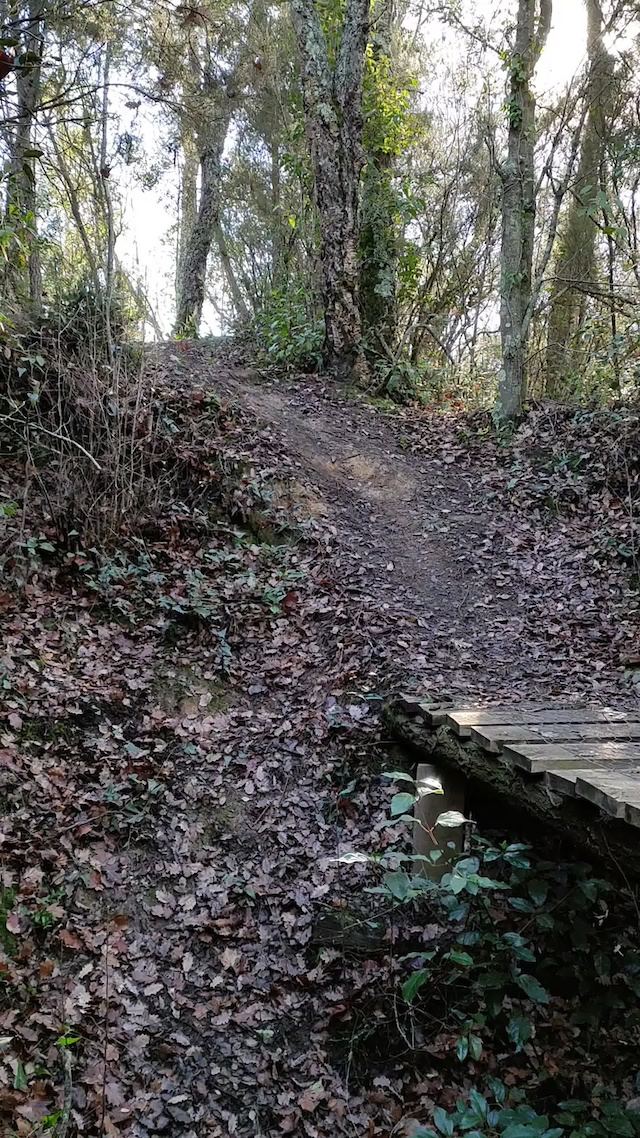 Must Watch Video