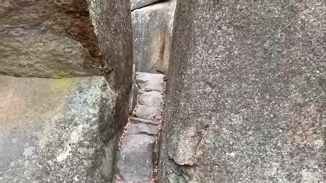 Must Watch Video