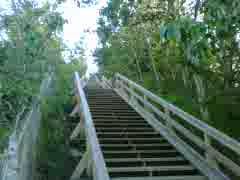 Must Watch Video