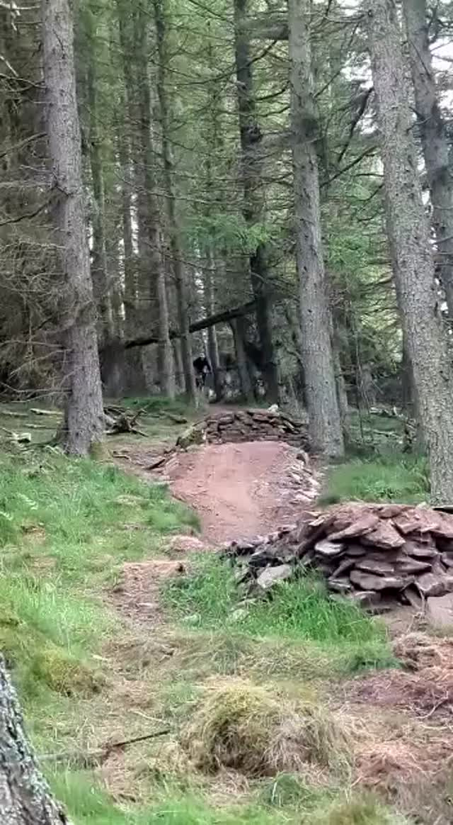 Must Watch Video