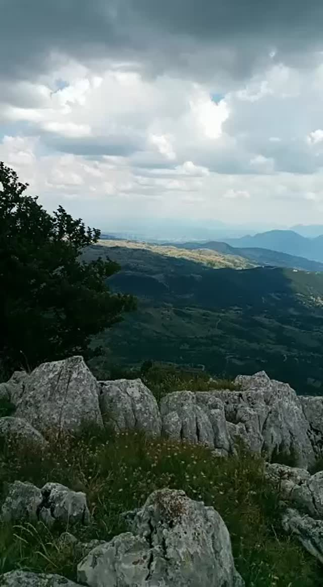Must Watch Video