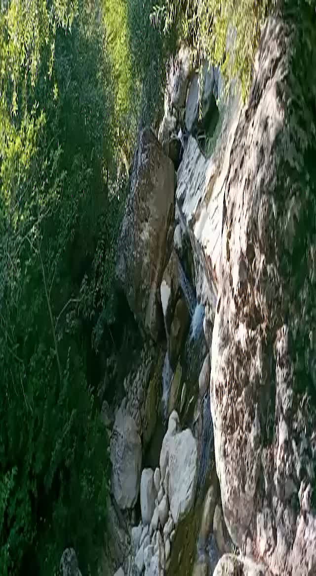 Must Watch Video