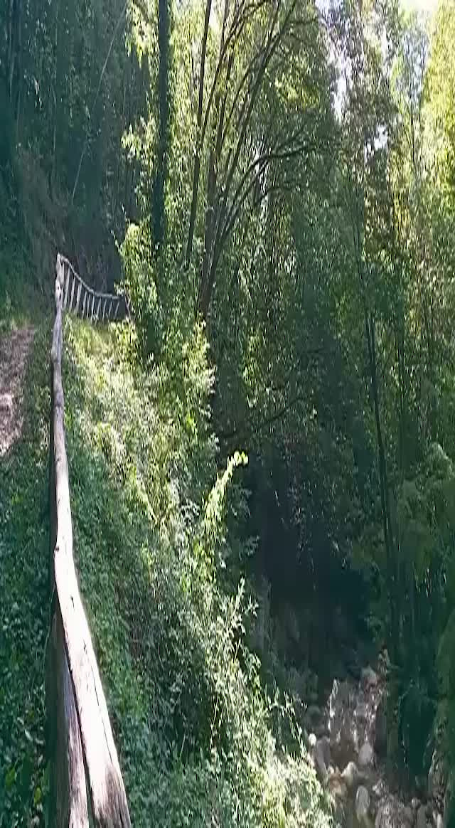 Must Watch Video