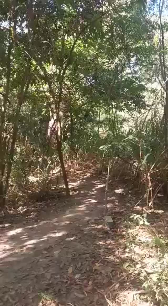 Must Watch Video